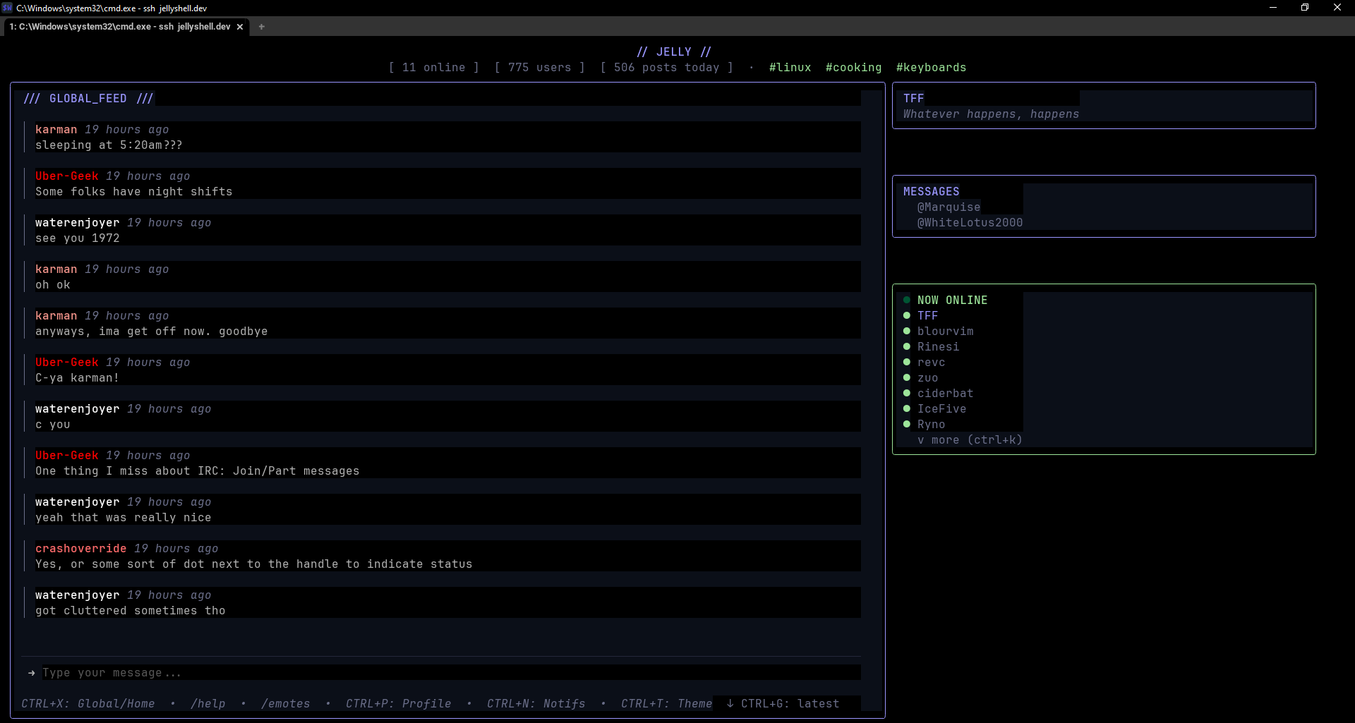 Screenshot of JellyShell, running in the 'WezTerm' terminal program.